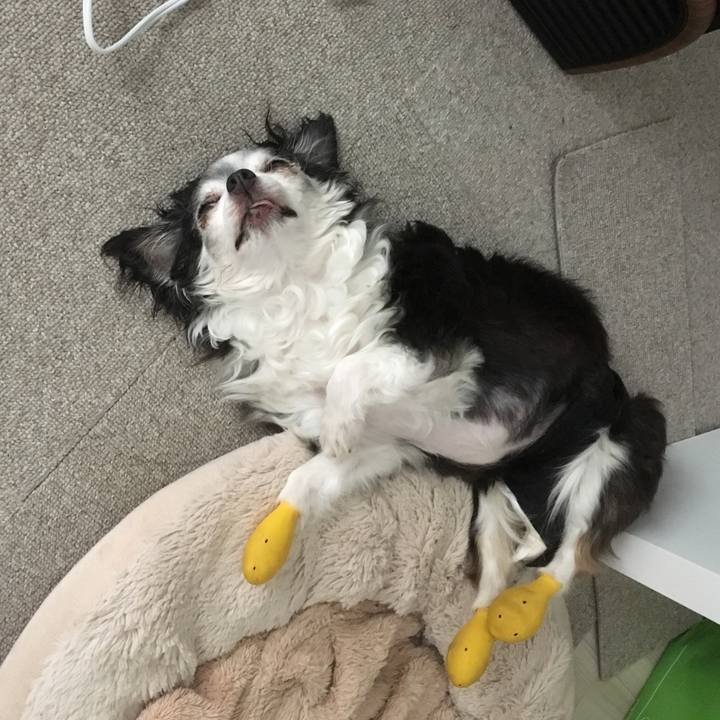 6fed290e 7d43 458a 8652 d9d4e66eaa3f