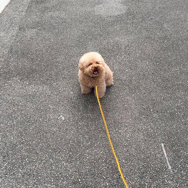 6fee0c3f 18ce 46f6 aea1 ac841fbaf524