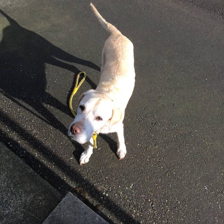 6fee1859 ef07 4b36 8614 9a6f0709349f