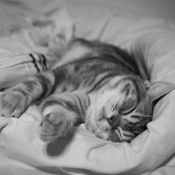 6fee1b26 c881 4977 9c17 d4f2a8b89df4