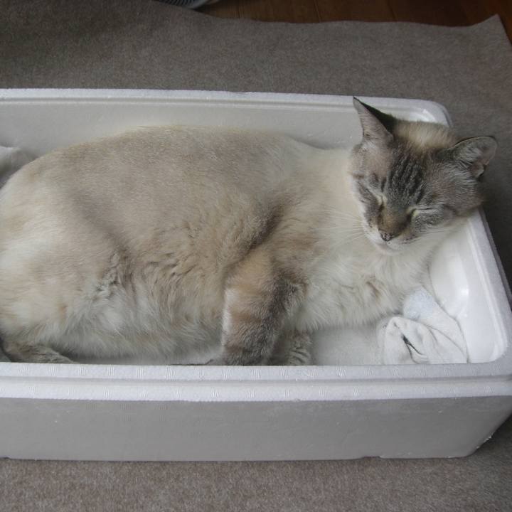 6fee5c9e 3ad5 4ff8 9b6a 39a53710fa14