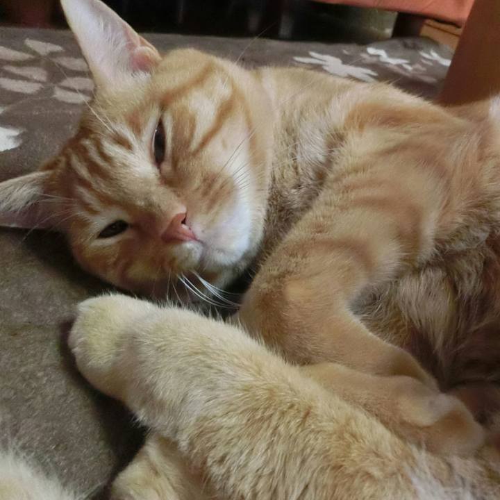 6fee7ec2 c697 4605 aa9a 6d09bb1eaad6