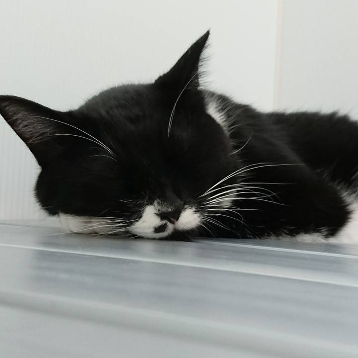 6fef2ff1 27d9 4f5f ab04 a3d5573652d9