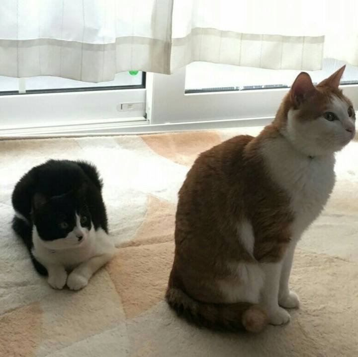 6fef6b1b 939b 4563 bbda 1c606f7ea5fc