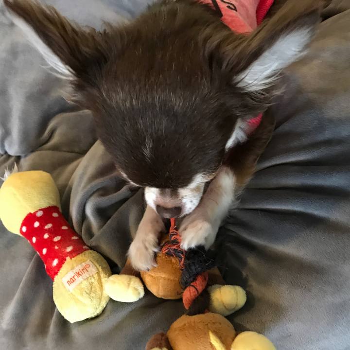 6fef8ef6 9ee6 43e8 8078 930e1f71bf95