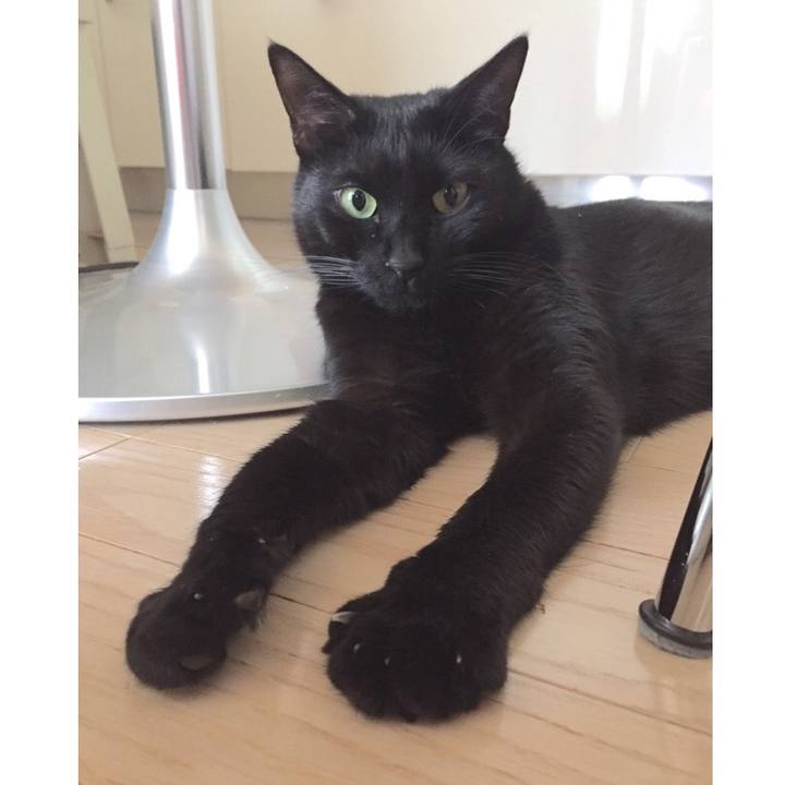 6fefd7b0 b621 438e b231 1d0d9711edfa