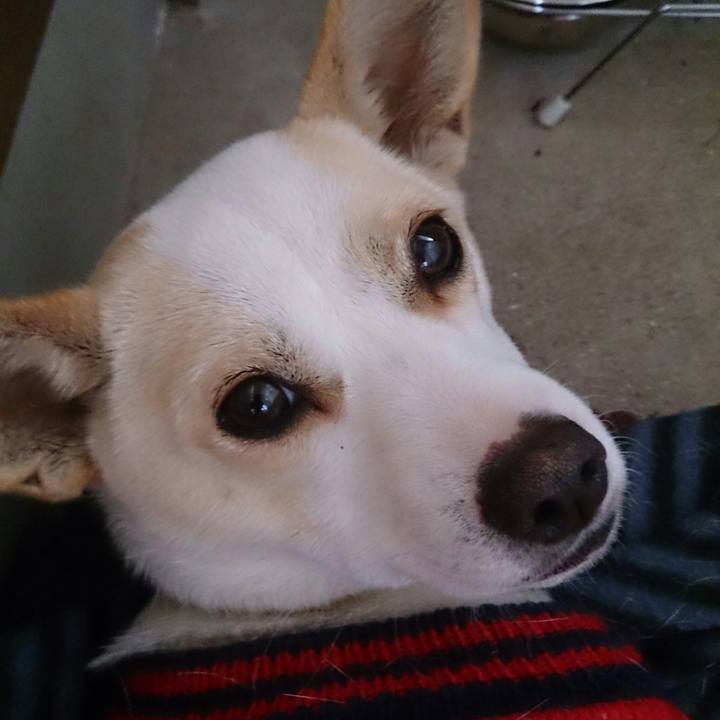 6fefd867 523d 495d 896a 7423eacc9ba6