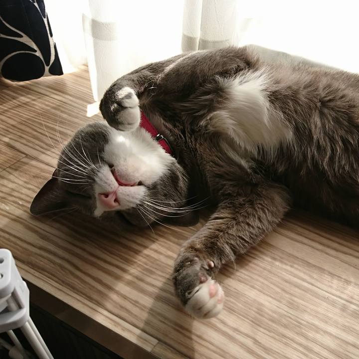 6ff02110 beea 4925 a54c fdf5ed8c1b4a