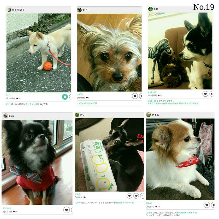 6ff07a40 c5c2 491e 8435 1f064f8f9183