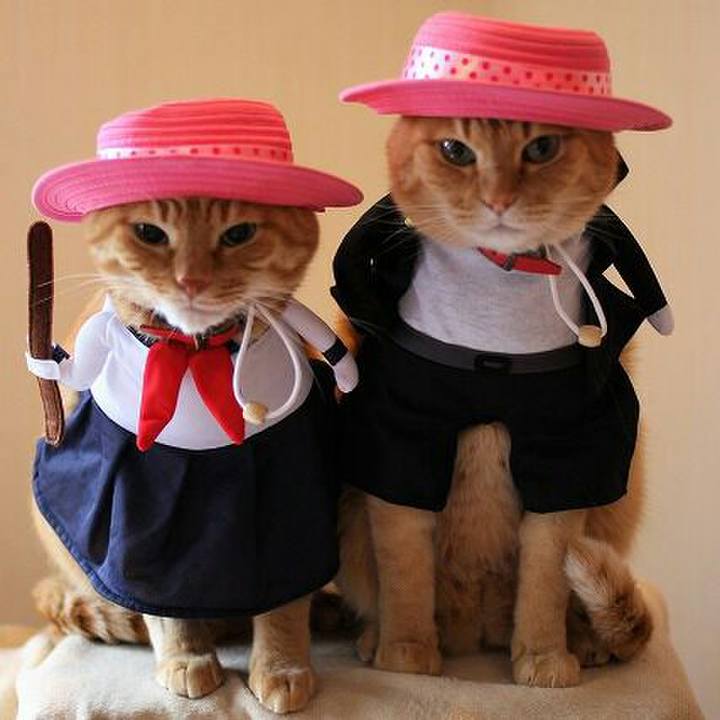 6ff0ec73 d68d 465e 808c 79a0ddb72168