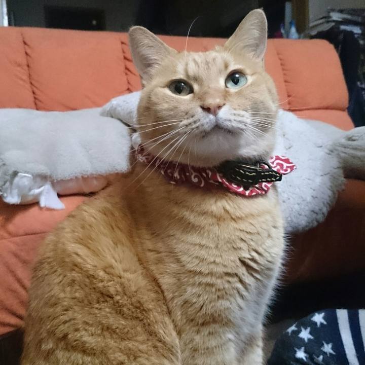 6ff1091f 3e22 44e4 af85 3c510a1fc02d