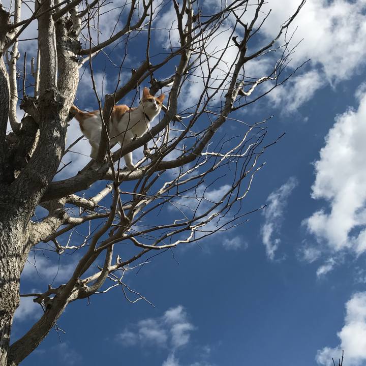 6ff15772 685d 4e93 bfd4 a32d06a7e9fc