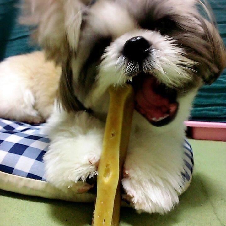 6ff24d25 b2c3 49ba 8ef6 f2b4dd479748