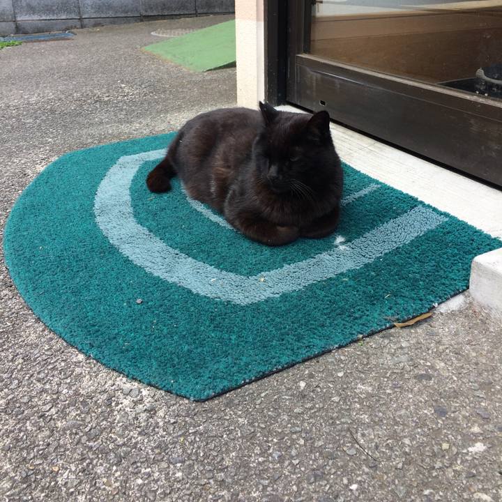 6ff2c10f 7706 4a11 8a87 b3d8e606b68a