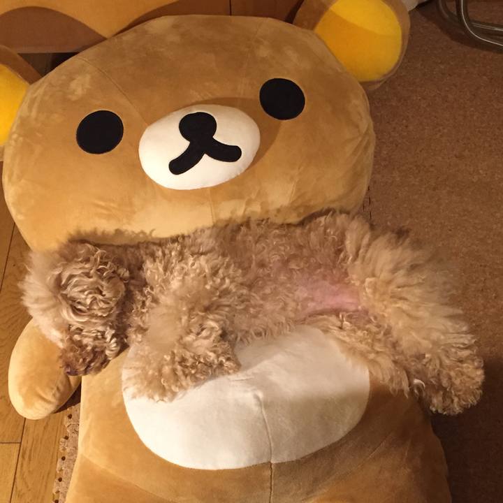 6ff36ebd ef57 443a 900b e530a4c6b160