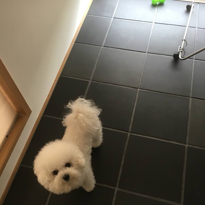 6ff386b8 2f2f 42c9 be03 cc92624c4da5