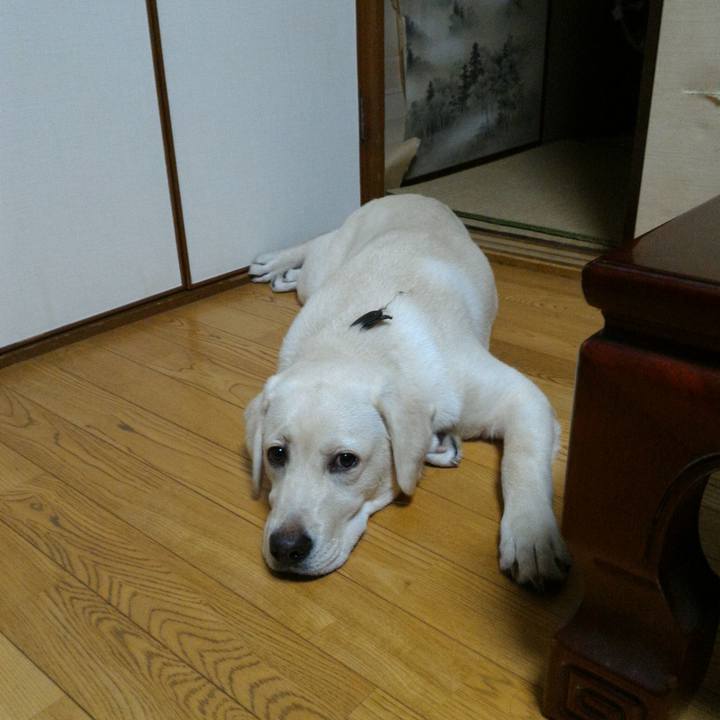 6ff3ca18 68c9 4947 ac11 5967f7c9ce2e