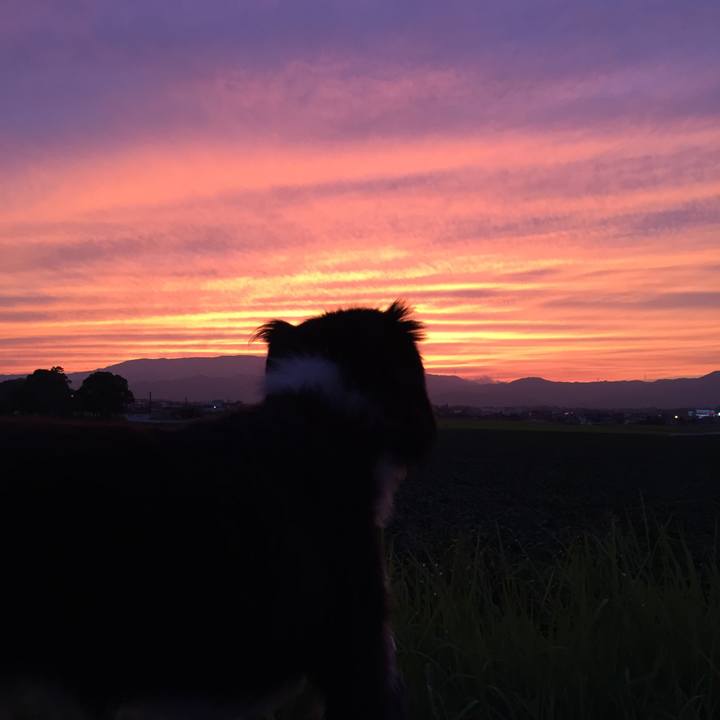 6ff40b6c cb0d 4b49 aeef fab98ba340eb