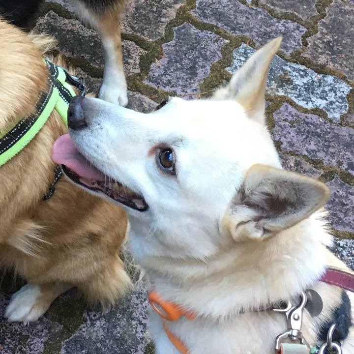 6ff4d1bb 71f2 45a7 ae60 67b5ff033c5a