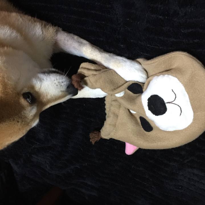 6ff4dd21 aa73 4796 b5e9 ac330ca945af