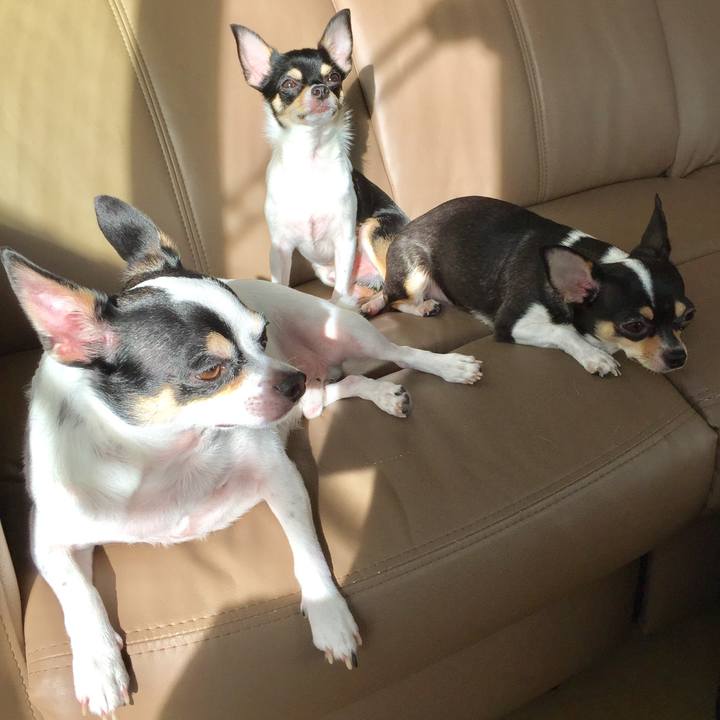 6ff4f425 f33e 4beb 9603 187a68b43bd4