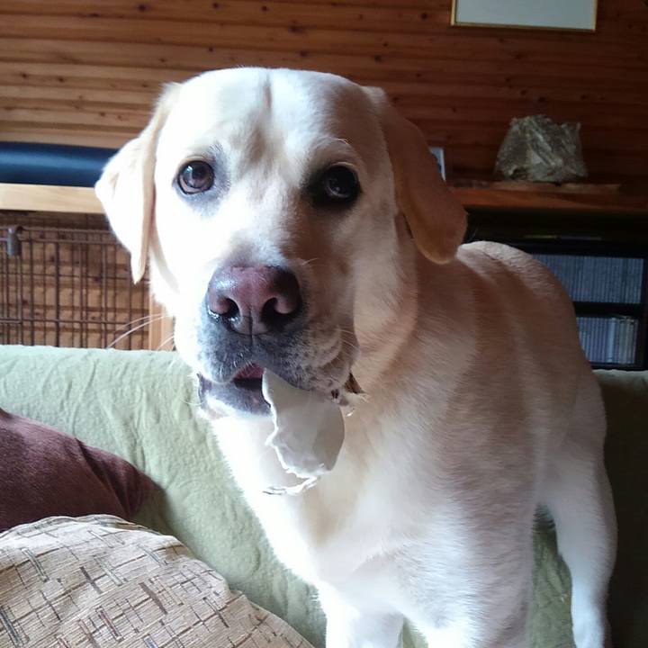 6ff52634 bc18 4c4e 9ab8 6c4ea6cfd08e