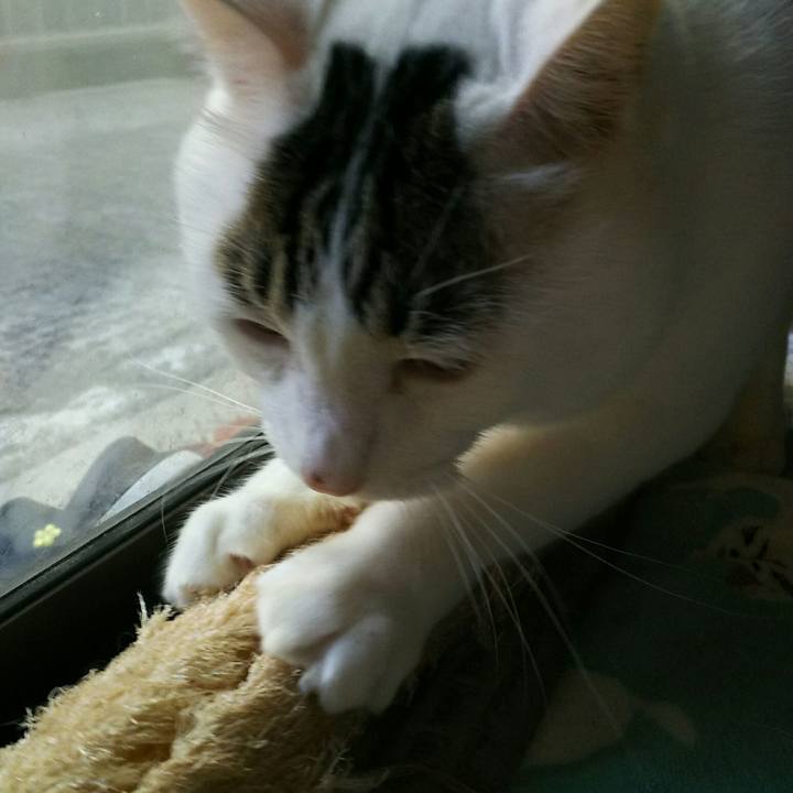 6ff54850 ef56 4fde 99ee c74bc680668a