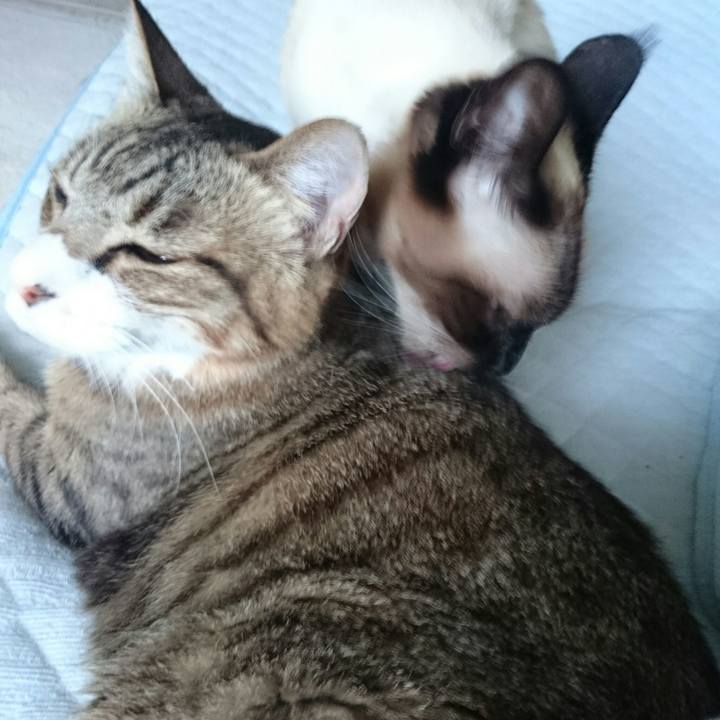 6ff56d96 fa49 48db 8664 072b2b8055bb