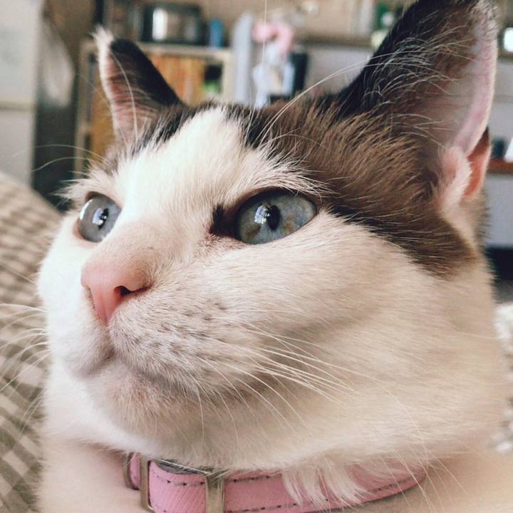 6ff5d029 4401 40ec bb8b dbc74d198844