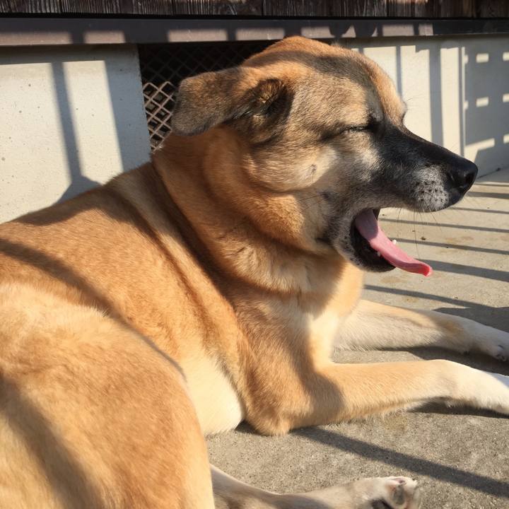 6ff5e369 eadc 496b bb7f 453e0b850f24