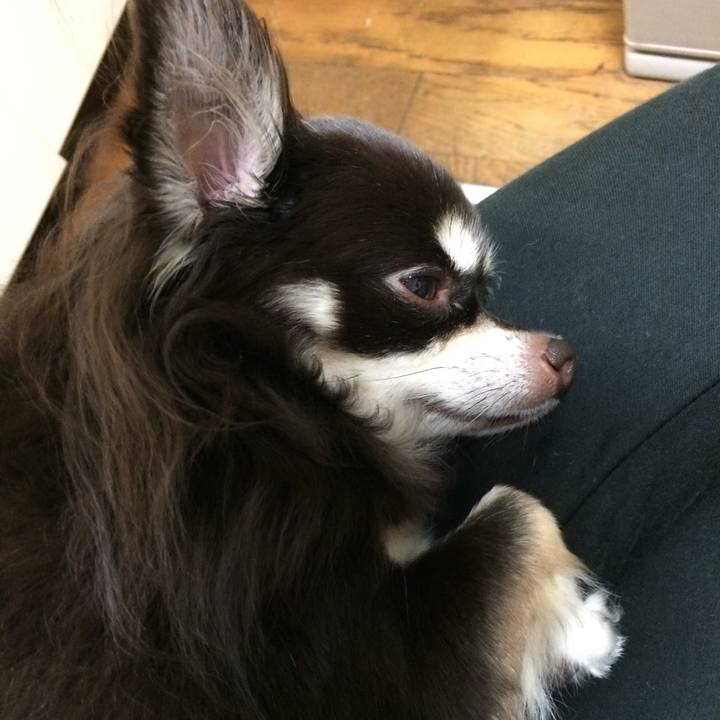 6ff5e68d a98d 4300 9346 2a250048b9e5