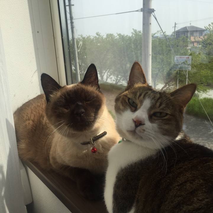 6ff62541 0ac5 4886 96cc a6e167fada52