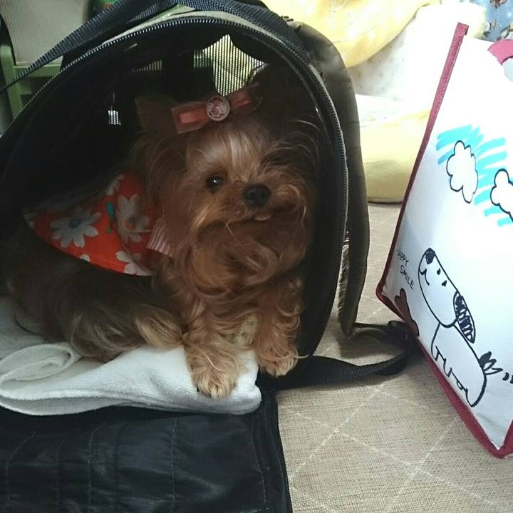 6ff75653 35d5 49d0 9bcf 4ef1be56665f