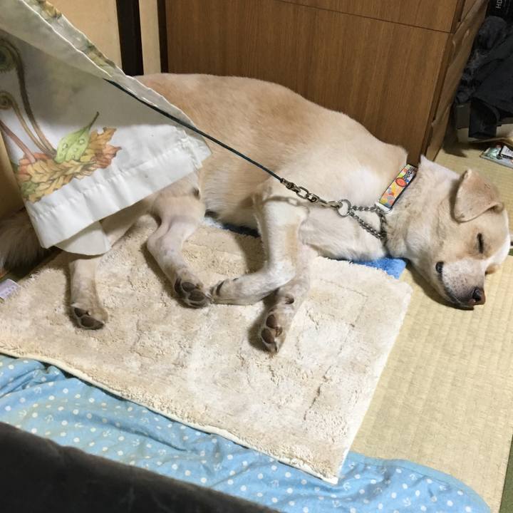 6ff8563a afca 4f17 b552 749e5ae0311d