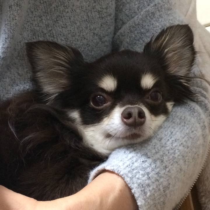 6ff87250 758b 4d79 b632 a8649e8b3a11