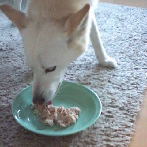 6ff8eb43 75f4 4a9b 9e09 eac4fa635f32