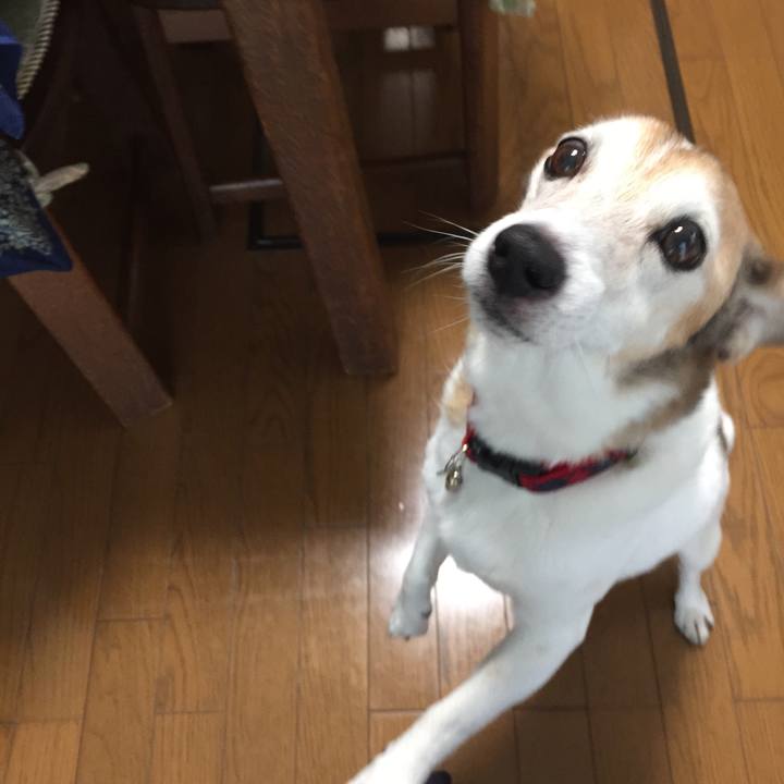 6ff91520 820b 4fbd 8ae8 f3bf85652f6e