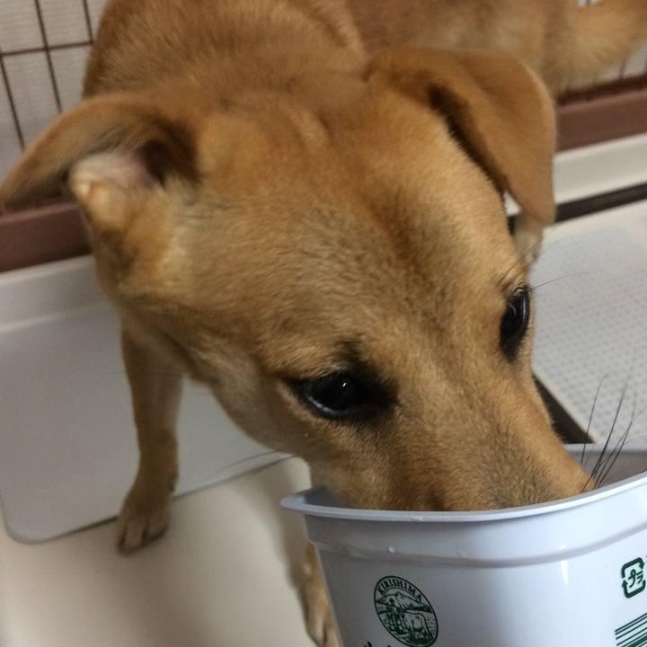 6ff937f3 b74b 40fe a69a 7c369f202ad2