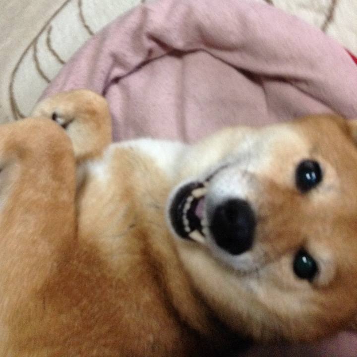 6ff96756 e31f 483d ac60 a13346b1038c