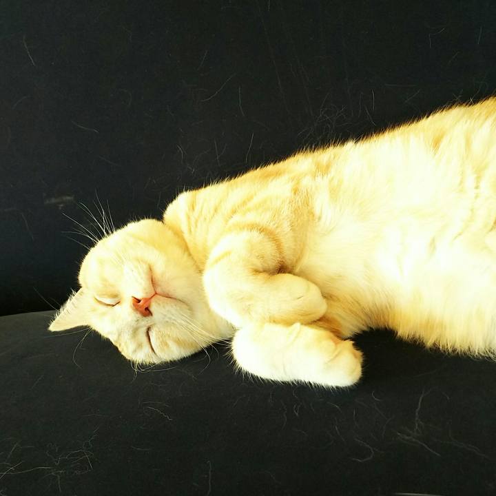 6ff9e47c 775b 486f 9d57 fa1ff208ef3c