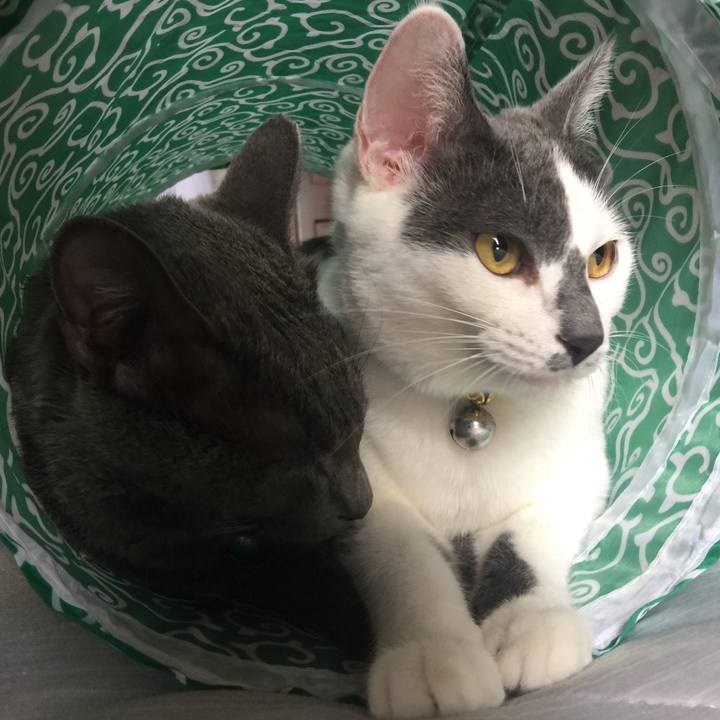 6ffa75bb 2298 44e0 855c 3d1c476a63b8