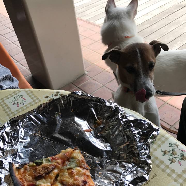 6ffa8a6c fd64 4491 8b45 f8daa145d53d