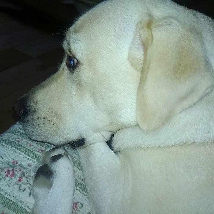 6ffab316 21fb 457c 9257 0814f2fa039e