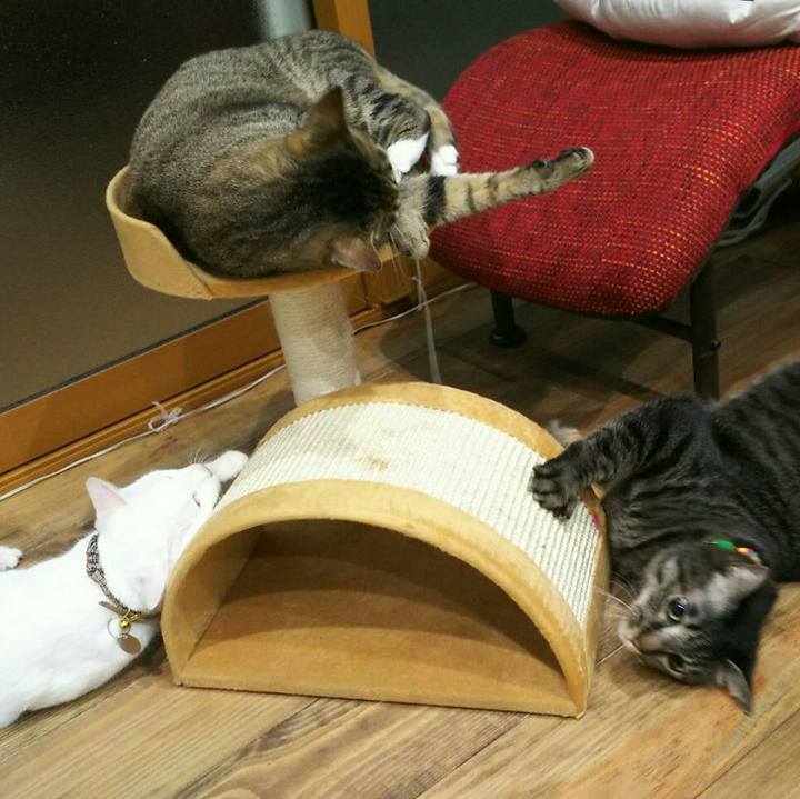 6ffab3d9 579b 405d 85f6 33333cdd2995