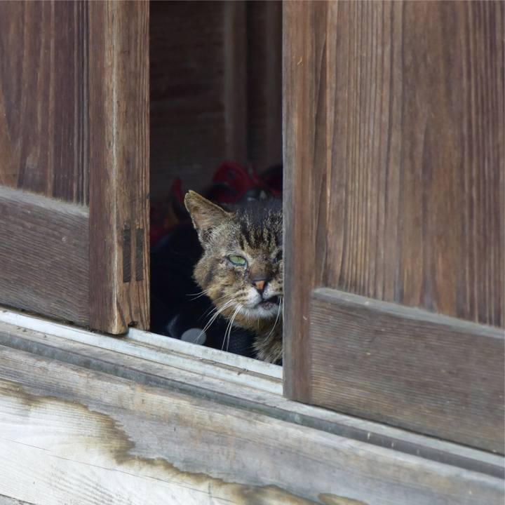 6ffb0026 3370 4e2a aadd eb58d950cf43