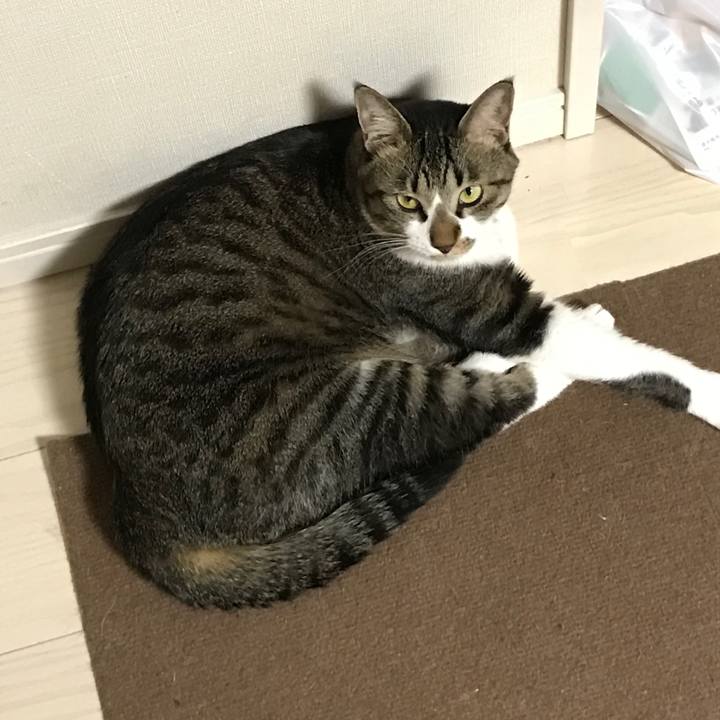 6ffbaa0b c3ea 42ac afaa 63f9fd9303e6