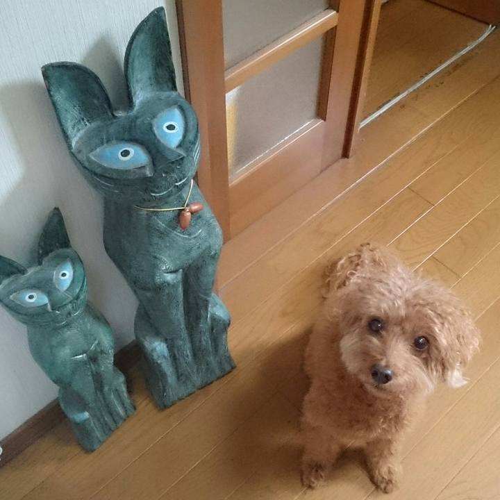 6ffc1d95 546c 48d6 b530 2ec6590817ce