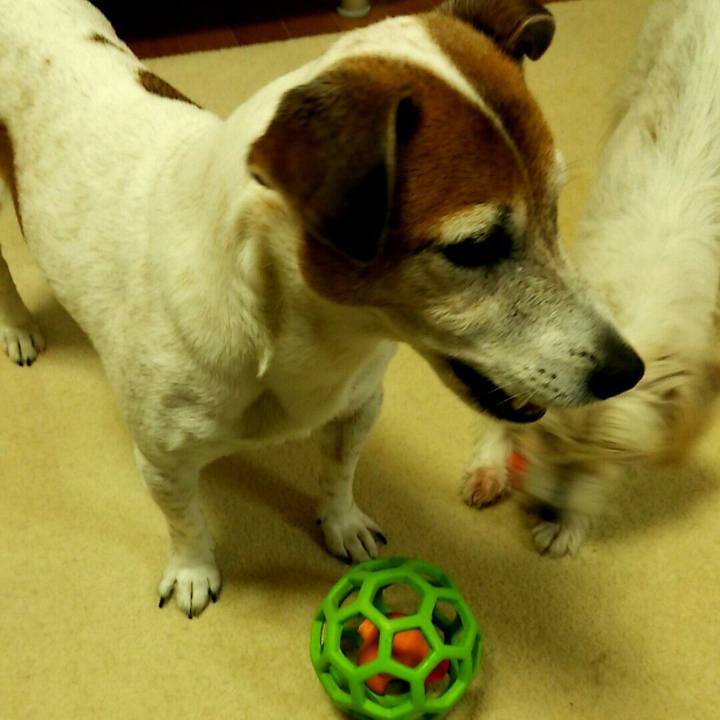 6ffcda44 6d1c 4d04 8477 38cd46586684