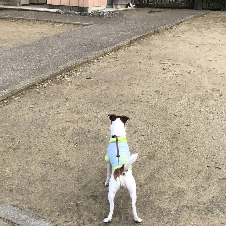 6ffdd159 18a2 4b48 a571 367acb8ab958