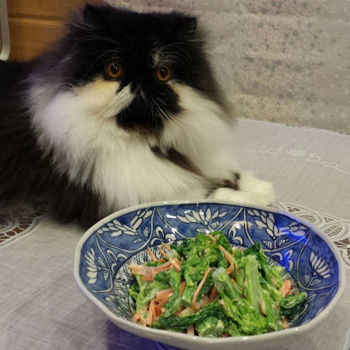 6ffdfcb9 99c1 4289 b011 883fdac1ffbf